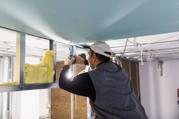 Best Specialized Insulation Services in Alameda, CA